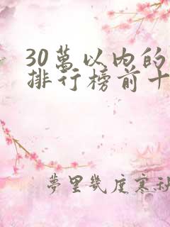 30万以内的车排行榜前十名