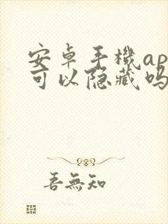 安卓手机app可以隐藏吗