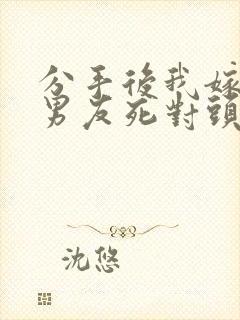 分手后我嫁给前男友死对头宋颜小说阅读