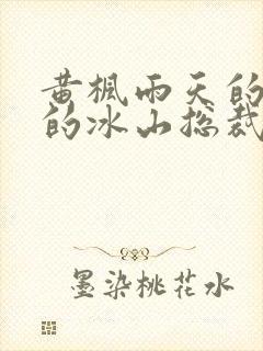 黄枫雨天的《我的冰山总裁老婆》