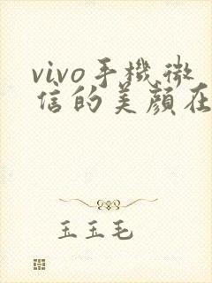 vivo手机微信的美颜在哪里调