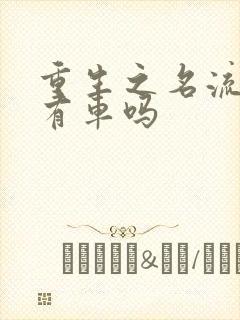 重生之名流巨星有车吗