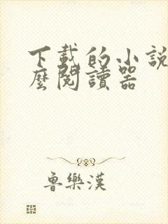 下载的小说用什么阅读器