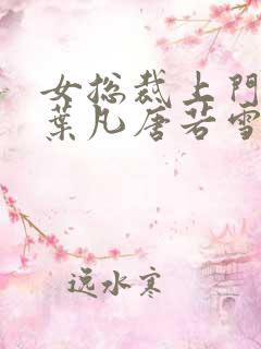 女总裁上门女婿叶凡唐若雪