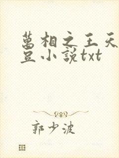 万相之王天蚕土豆小说txt