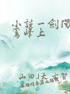 小说一剑独尊青鸾峰上