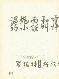 温栀南和霍承钧的小说叫什么名字