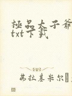 极品太子爷全本txt下载