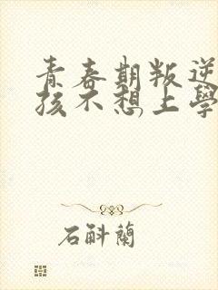 青春期叛逆期男孩不想上学