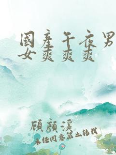 国产午夜男男女女爽爽爽