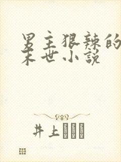 男主狠辣的重生末世小说