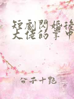 短剧闪婚后成了大佬的掌中之物