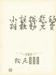 小说总裁的女人谁敢动免费阅读