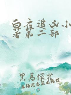 白夜追凶小说原著第二部