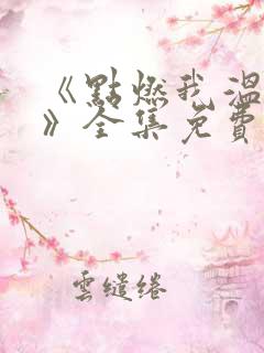 《点燃我温暖你》全集免费电视剧