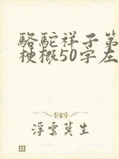 骆驼祥子第六章梗概50字左右