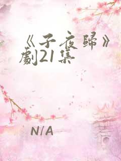 《子夜归》电视剧21集