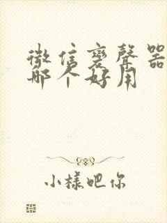 微信变声器软件哪个好用