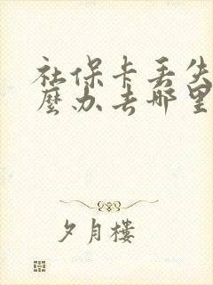 社保卡丢失了怎么办去哪里可以补办