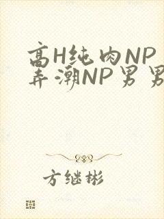 高H纯肉NP 弄潮NP男男