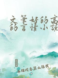 文笔好的高质量的言情小说