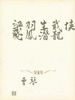 梁羽生武侠小说飞凤潜龙