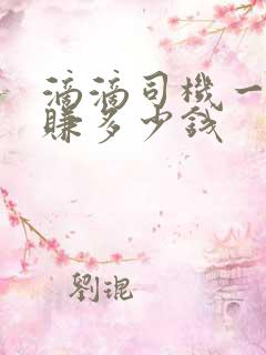 滴滴司机一个月赚多少钱