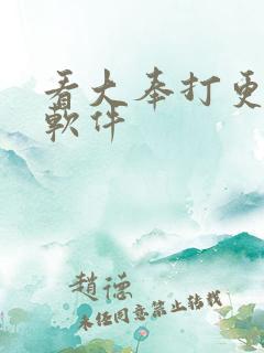 看大奉打更人的软件