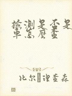 检测是否是事故车怎么查