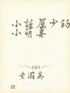 小说厉少的闪婚小萌妻