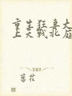 重生狂妻大佬宠上天战北庭