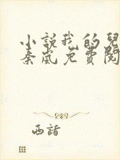 小说我的儿媳是秦岚免费阅读