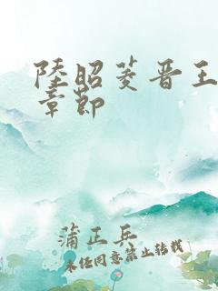 陆昭菱晋王最新章节