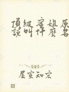 顶级蜜姐原著小说叫什么名字啊