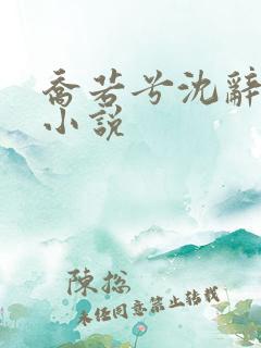 乔若兮沈辞安的小说