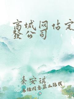 商城网站定制开发公司