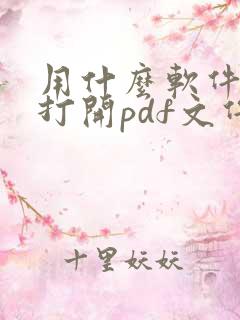 用什么软件可以打开pdf文件