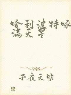 哈利波特啄木鸟满天星