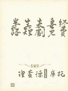 半生夫妻终成陌路短剧免费观看全集