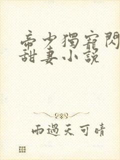 帝少独宠闪婚小甜妻小说