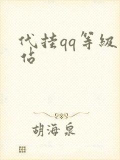 代挂qq等级网站