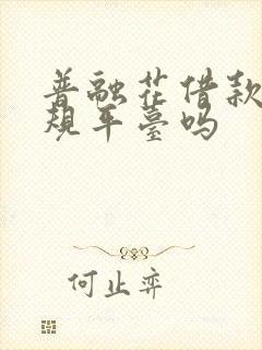 普融花借款是正规平台吗