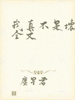 我真不是坏男人全文