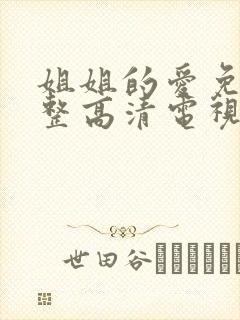 姐姐的爱免费完整高清电视剧在线看