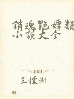 销魂艳婢类似的小说大全