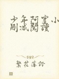 少年阿宾小说无删减阅读