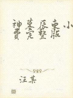 神墓辰东小说免费完整版