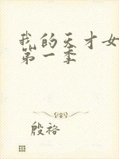 我的天才女友 第一季