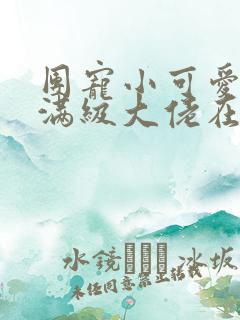 团宠小可爱成了满级大佬在线免费阅读