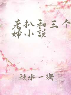 老扒和三个儿媳妇小说